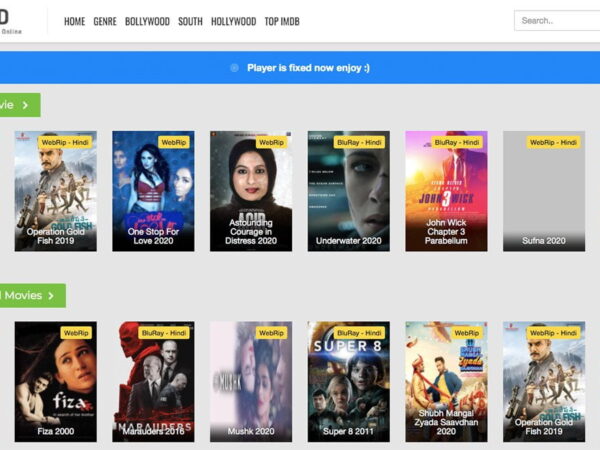 Everything You Need To Know About Rdxhd, Latest Bollywood Movie Torrent Site