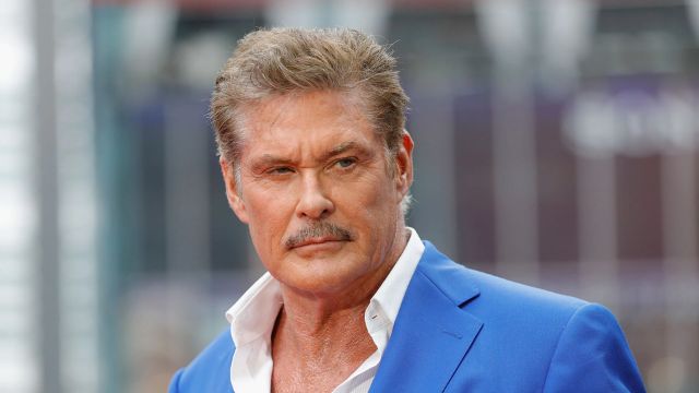 David Hasselhoff Net Worth 2022