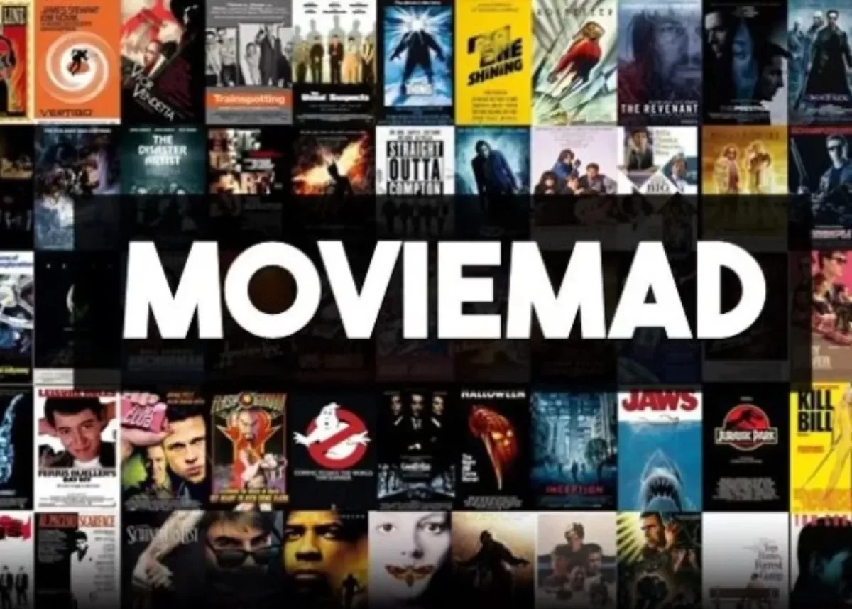 MovieMad – Download Bollywood,Hollywood Hindi Dubbed Movies